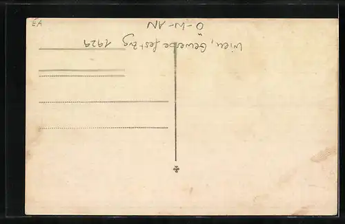 AK Wien, Gewerbefestzug 1929, Fahnenschwinger