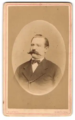 Fotografie H. Ludwig, Crimmitschau, Herr mit üppigem Schnauzer