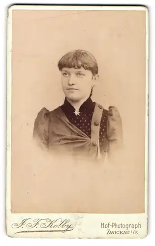 Fotografie J. F. Kolby, Zwickau i /S., Kaiser Wilhelm Platz 31, Junge Dame im modischen Kleid