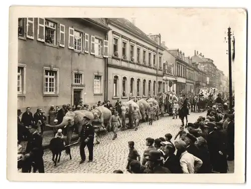 6 Fotografien unbekannter Fotograf, Ansicht Pirmasens, Kaiserstrasse, Festumzug mit Zirkus-Elefanten, Militär-Orchester