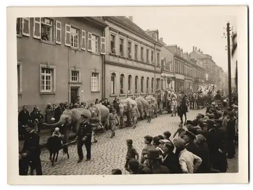 6 Fotografien unbekannter Fotograf, Ansicht Pirmasens, Kaiserstrasse, Festumzug mit Zirkus-Elefanten, Militär-Orchester