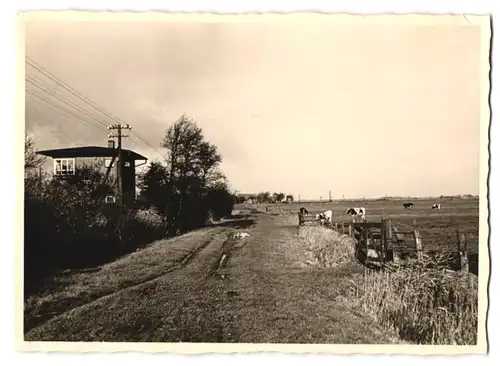 11 Fotografien unbekannter Fotograf, Ansicht Lunden, Bahnhof, Kirche, Hafeneinfahrt, verschiedene Ortsansichten