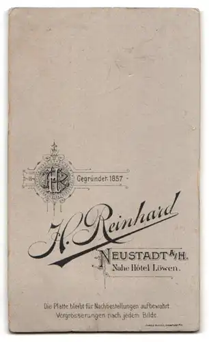 Fotografie H. Reinhard, Neustadt a /H., Junge Dame im modischen Kleid