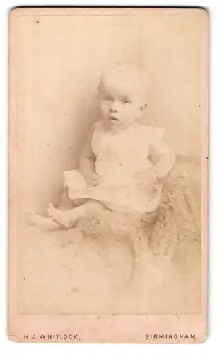 Fotografie H. J. Whitlock, Birmingham, 11, New Street, Süsses Kleinkind im Hemd sitzt auf Fell
