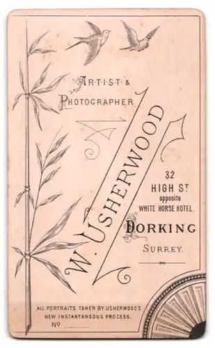 Fotografie W. Usherwood, Dorking /Surrey, 32, High St., Junge Dame im modischen Kleid