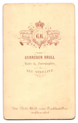 Fotografie Gebrüder Krull, Neu-Strelitz, Jüngling mit Haartolle und schmalem Binder