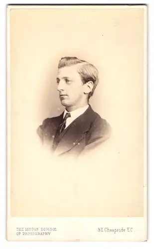 Fotografie S. Prout Newcombe, London, Newgate Street 103, Portrait Herr mit Krawatte