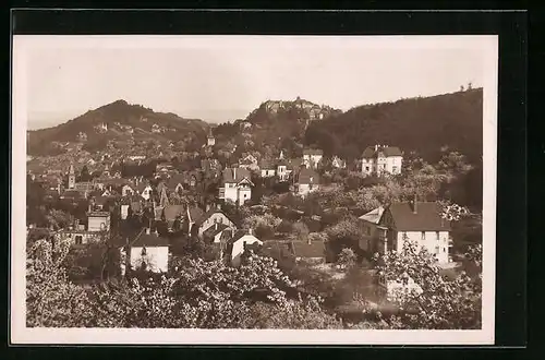 AK Blankenburg a. Harz, Blick vom Eichenberg