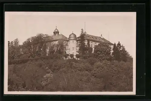 AK Blankenburg /H., Schlossansicht aus der Ferne