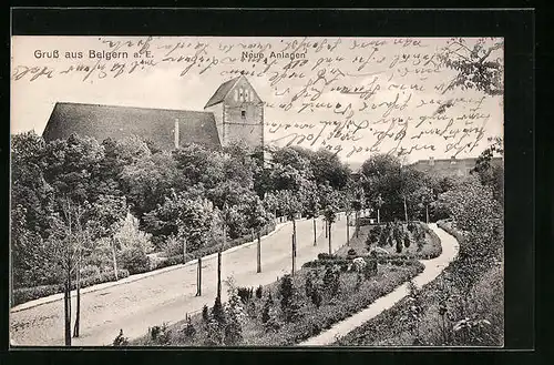 AK Belgern /E., Ortspartie mit Strasse durch Grünfläche