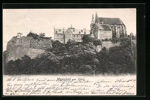 AK Mansfeld /Harz, Blick auf das Schloss