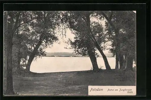 AK Potsdam, Partie am Jungfernsee mit Bäumen