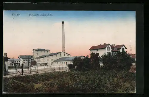 AK Erstein, Elsässische Zuckerfabrik