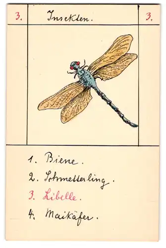 40 Handzeichnungen Kartenspiel Quartett mit 10 Themen, Insekten, Gebäude, Verkehrsmittel, Erdteile, Landschaften u.a.