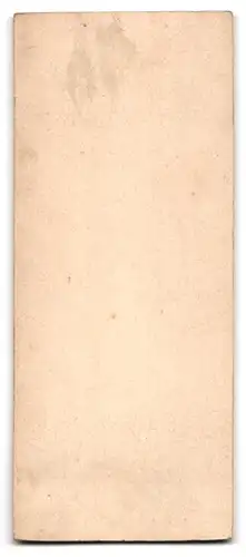 Fotografie Georg Meyer, Braunschweig, Junge Dame in hübscher Kleidung