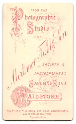 Fotografie M. Field & Son, Maidstone, Sandling Road, Porträt einer Dame mit abstützenden Händen