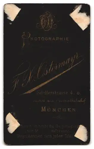 Fotografie F. X. Ostermayr, München, Schillerstr. 4 o, Junger Herr im Anzug mit Fliege