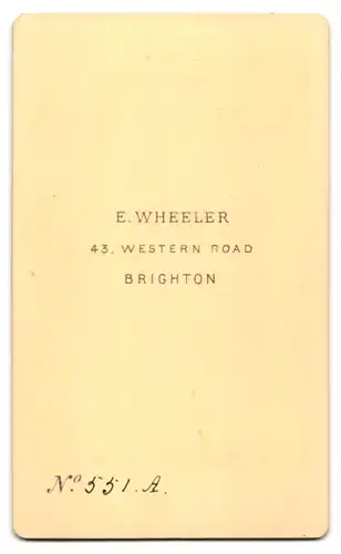 Fotografie E. Wheeler, Brighton, 43 Western Road, Portrait elegante Dame mit geflochtenem Haar