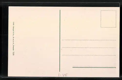 AK Malcesine, Malerische Ortsansicht mit See und Burganlage