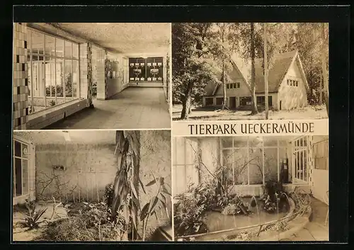 AK Ueckermünde, Vivarium, Tierpark mit Ansichten der Gehege
