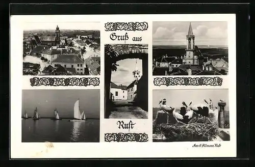 AK Rust, Teilansicht aus der Vogelschau, Storchennest, See mit Segelbooten