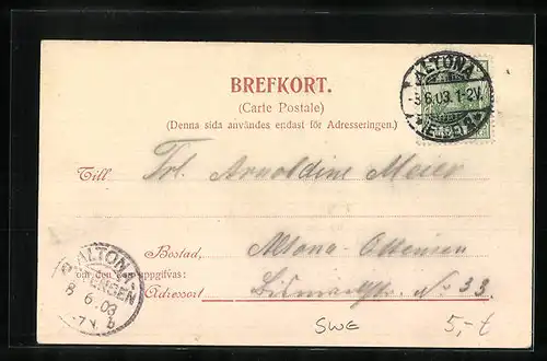 AK Rottneros /Wermland, Parti of Skarpedsfallen