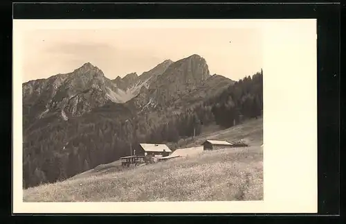 AK Neustift /Stubai, Mutterberg Alm