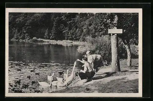 AK Kolding, Marielund - Partie am See mit Schwanfütterung