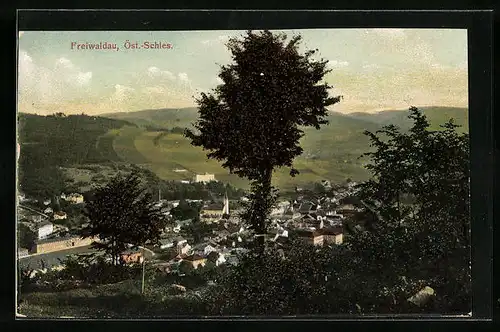 AK Freiwaldau, Ortsansicht aus der Vogelschau