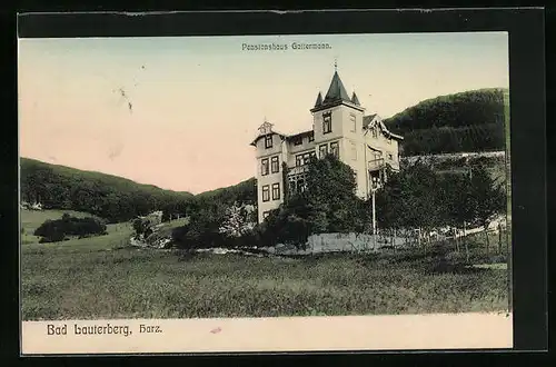 AK Bad Lauterberg /Harz, Pensionshaus Gattermann