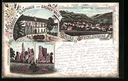 Lithographie Stecklenberg, Gasthaus zur Grünen Mühle, Lauenburg, Ortsansicht aus der Vogelschau