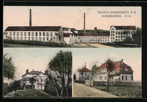 AK Grossschweidnitz /O.-L., Duncan`s Leinenindustrie AG, Gebäudeansicht, Ortspartie