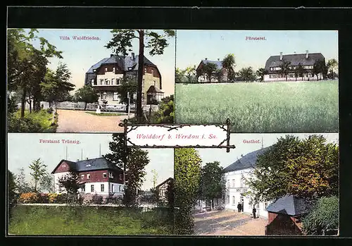 AK Walddorf b. Werdau, Villa Waldfrieden, Försterei, Forstamt Trünzig, Gasthof
