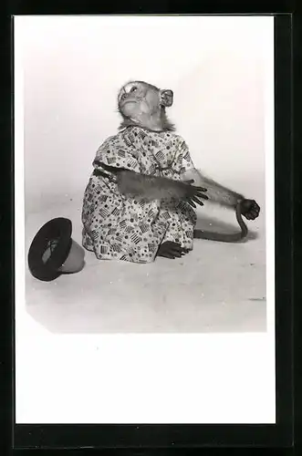 AK Affe mit Hut und einem Kleid, vermenschlichte Tiere