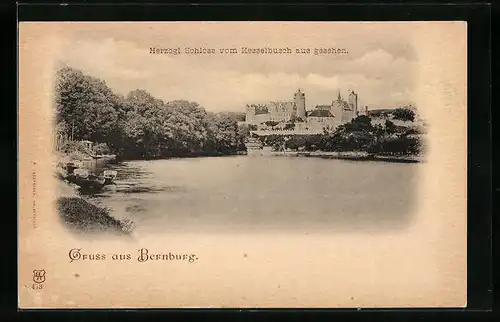 AK Bernburg, Herzogl. Schloss vom Kesselbusch aus gesehen