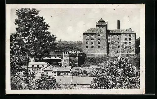 AK Mlada Boleslav, Blick auf das Schloss
