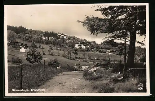 AK Brückenberg im Riesengebirge, Blick auf die Villen am Hang
