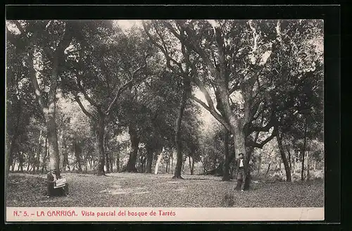 AK La Garriga, Vista parcial del bosque de Tarres