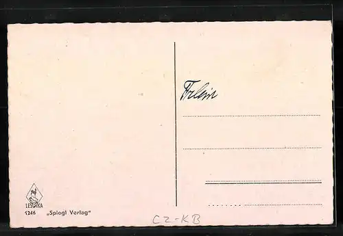 AK Graslitz, Generalansicht der Stadt