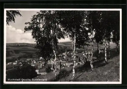 AK Graslitz, Blick von den Wiesen auf die Musikstadt