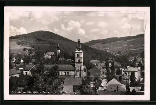 AK Graslitz, Teilansicht mit Hausberg, Blick auf die Kirche