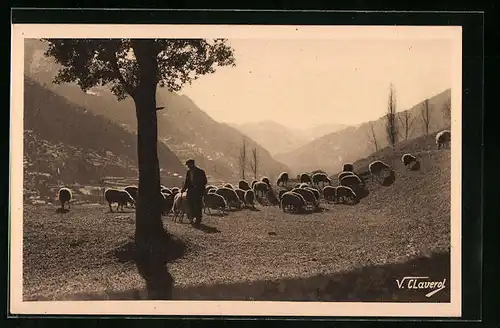 AK Valls d`Andorra, Paturage, Schafhirte mit Herde