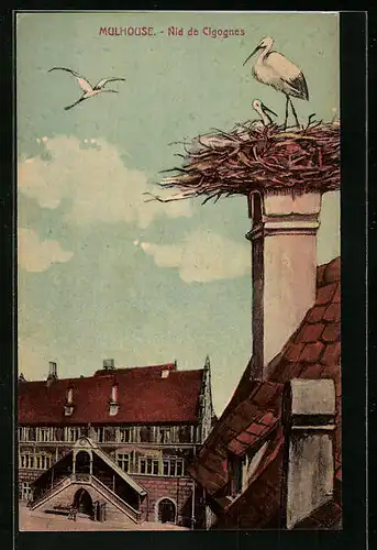 AK Mulhouse, Nid de Cigognes