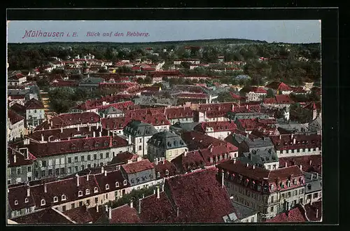 AK Mülhausen i. E., Blick auf den Rebberg