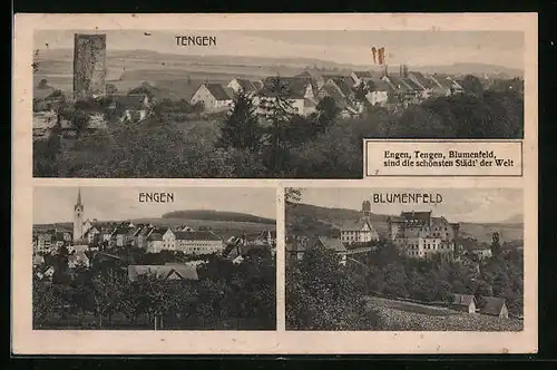 AK Tengen, Teilansicht, Engen, Blumenfeld