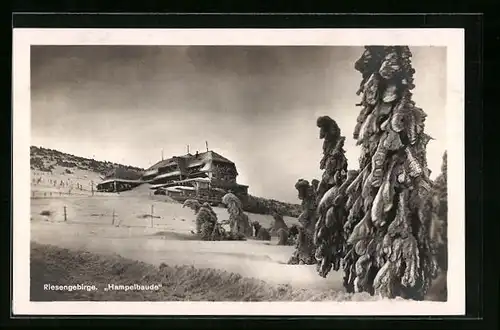 AK Verschneite Hampelbaude im Riesengebirge