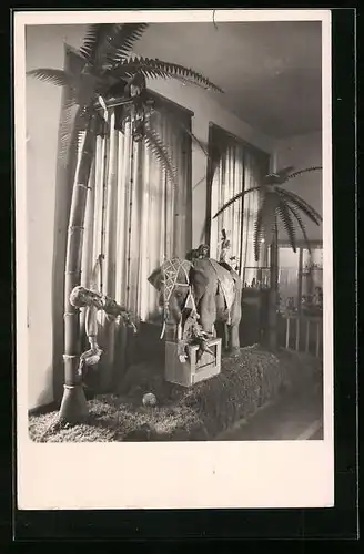AK Sonneberg in Thür., Inneres vom Spielzeug-Museum - Elefantengruppe beweglich