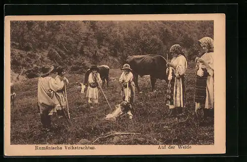 AK Rumänische Volkstrachten, Kinder in Trachten auf der Weide
