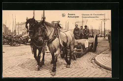 AK Antwerpen, Corporatiepaarden, Pferdekarren