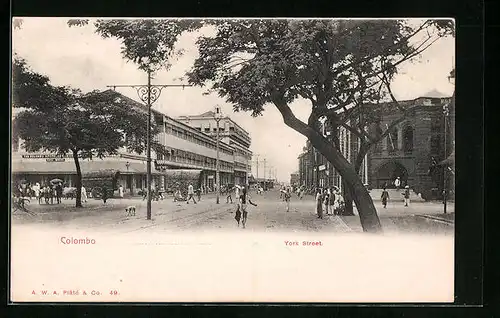 AK Colombo, York Street